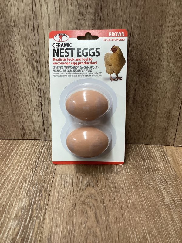 CERAMIC EGGS, BROWN 2 PK Online now