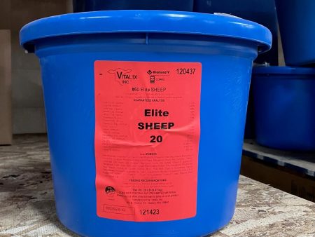 VTX ELITE SHEEP, 20LB-MIN 16X5 Online Hot Sale