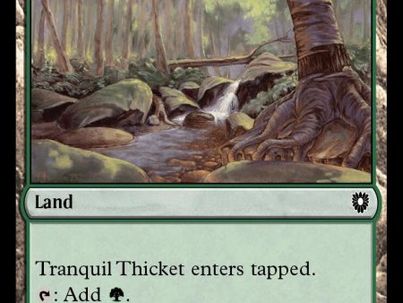 Tranquil Thicket [Bloomburrow Commander] For Discount