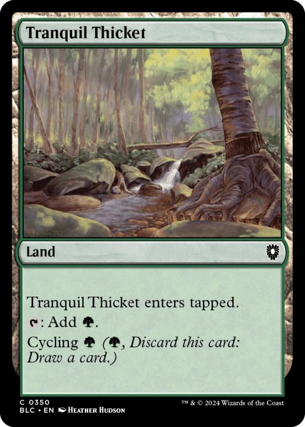 Tranquil Thicket [Bloomburrow Commander] For Discount