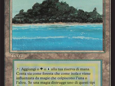 Tropical Island Italian [Foreign Black Border] Supply