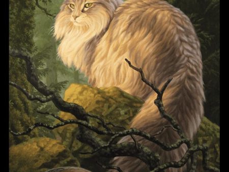 Cat    Treasure Double-Sided Token [Bloomburrow Commander Tokens] Online Hot Sale