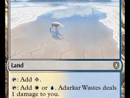 Adarkar Wastes [Bloomburrow Commander] Discount